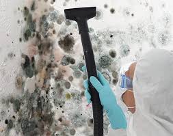 Best Basement Mold Removal  in Laguna Vista, TX